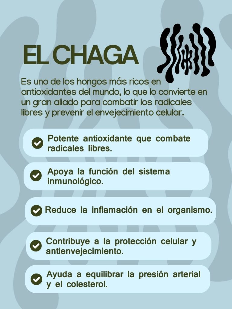 El Chaga
